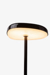 Fungi Floor Lamp #1